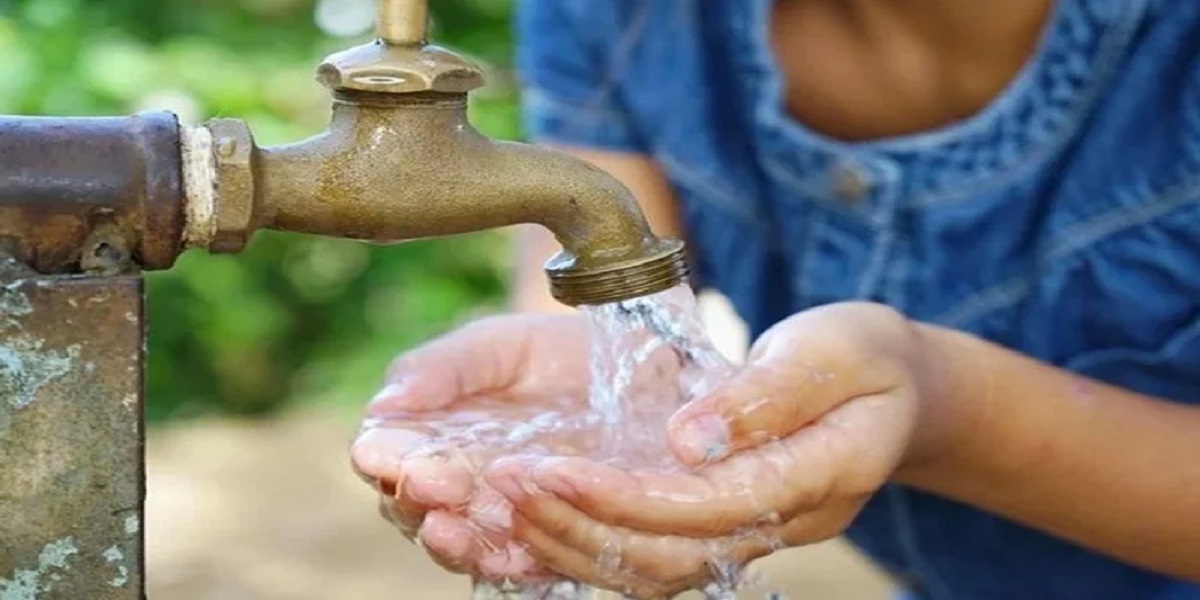 صورة المقالة