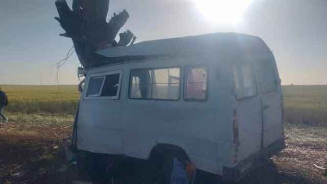 صورة المقالة