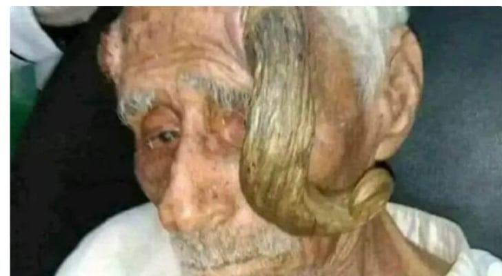 صورة المقالة