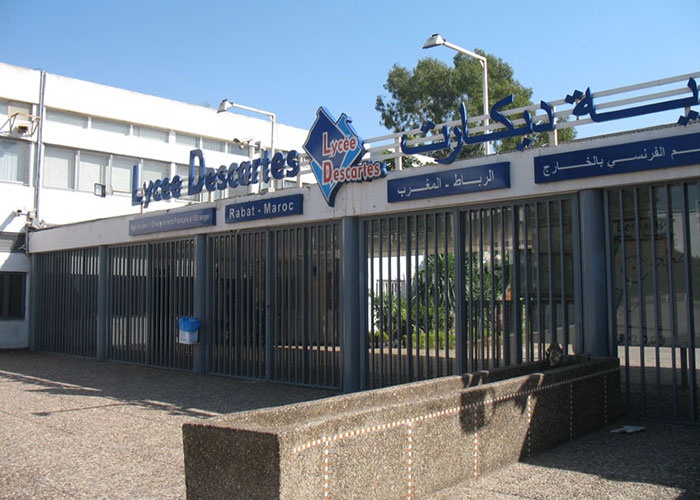 صورة المقالة