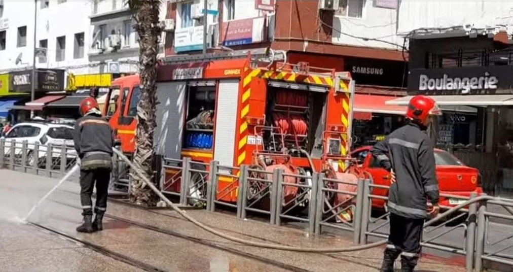 صورة المقالة