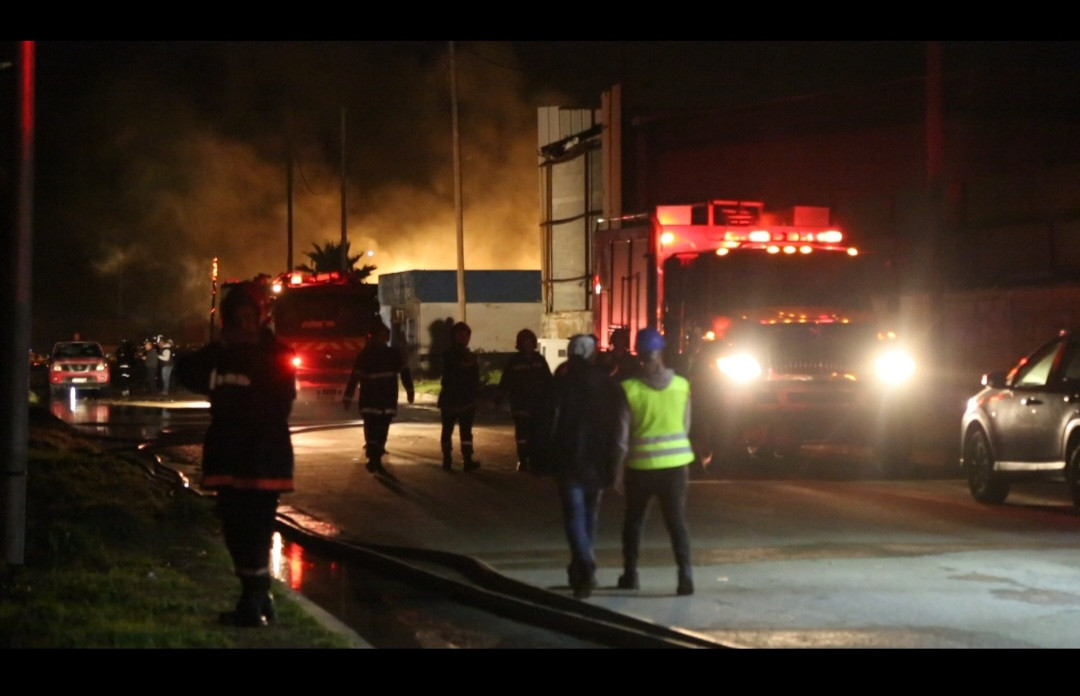 صورة المقالة