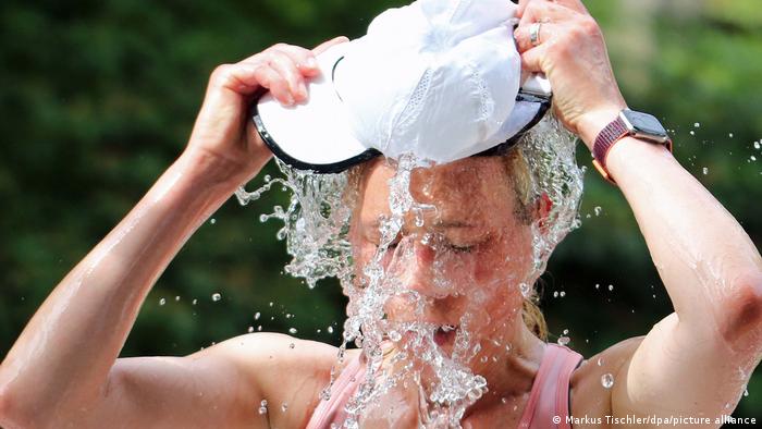 صورة المقالة