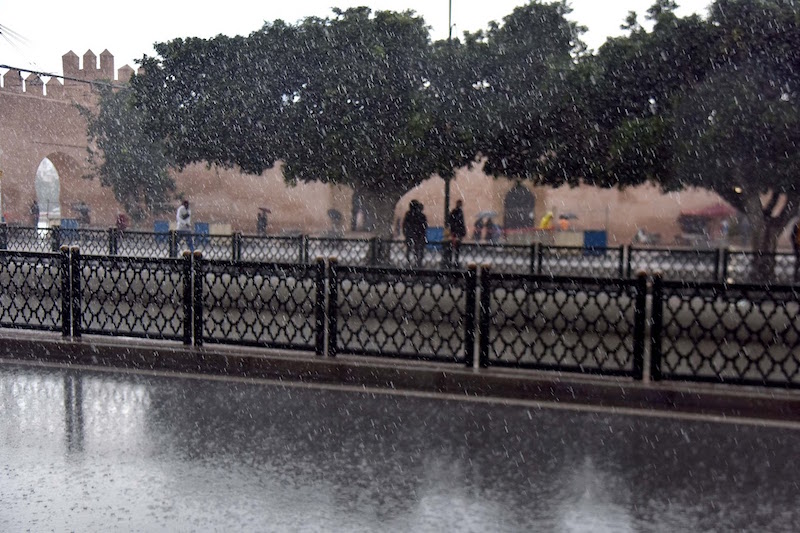 صورة المقالة