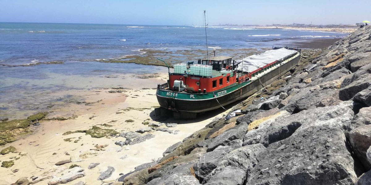 صورة المقالة