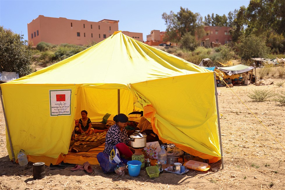 صورة المقالة