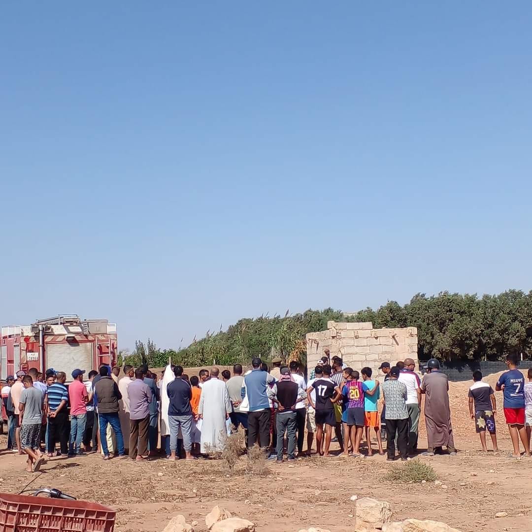 صورة المقالة