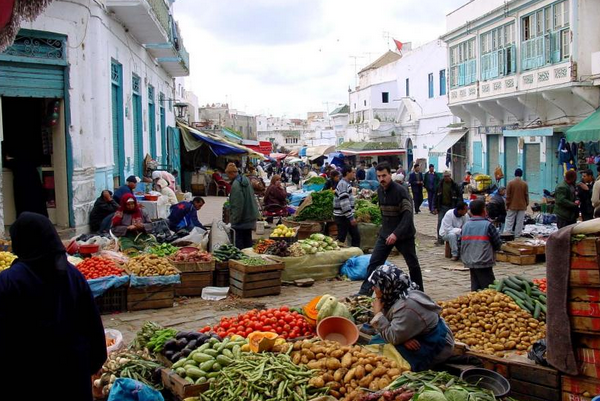 صورة المقالة