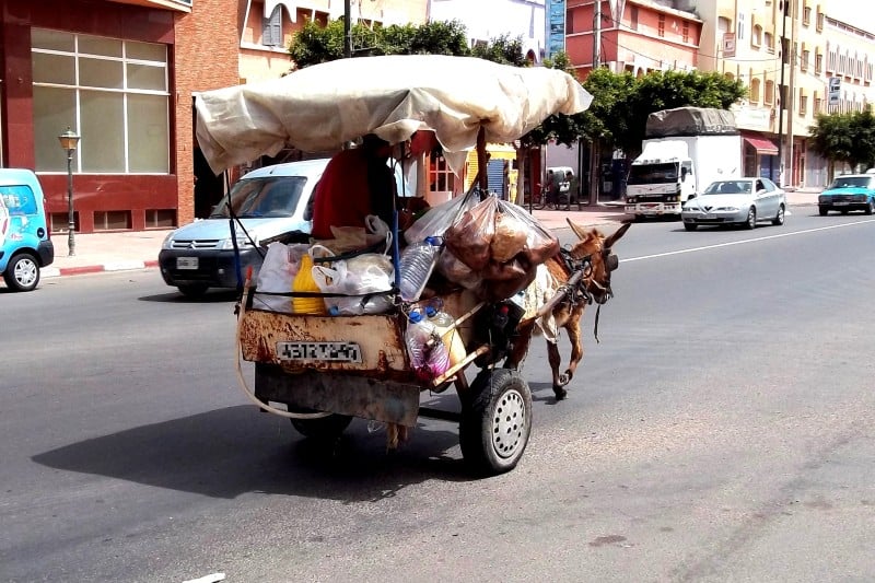 صورة المقالة