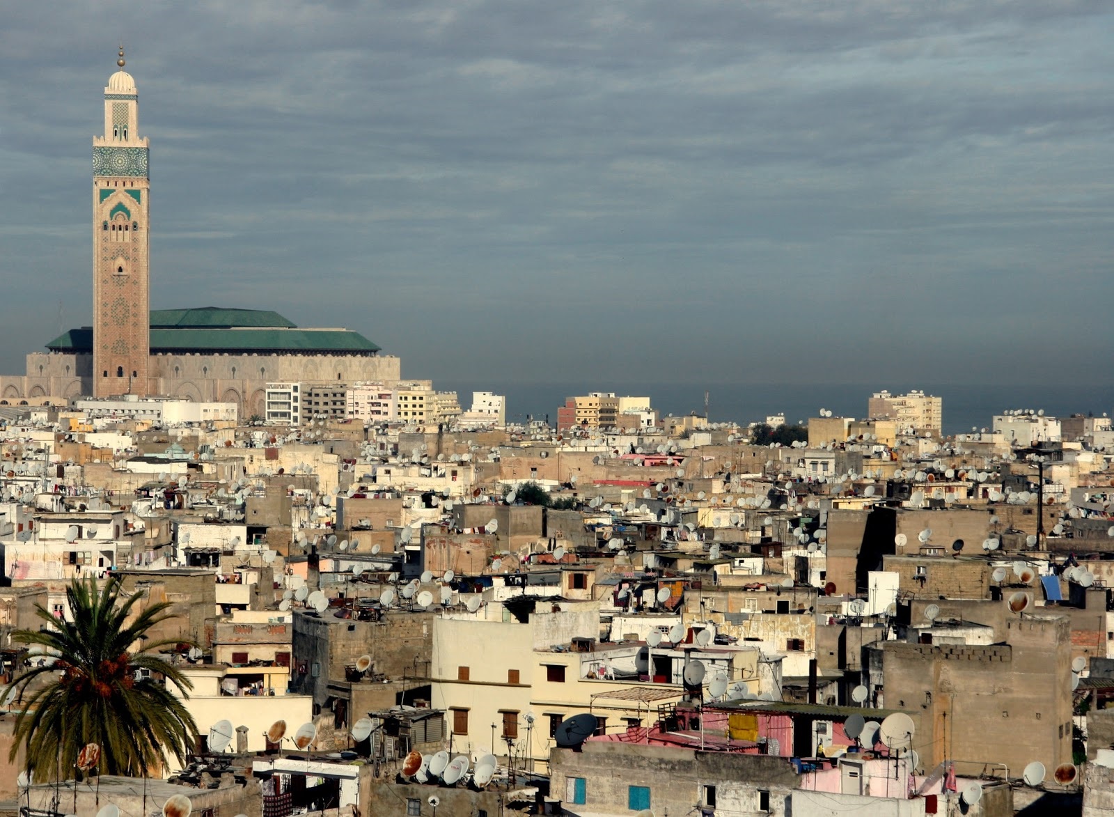 صورة المقالة