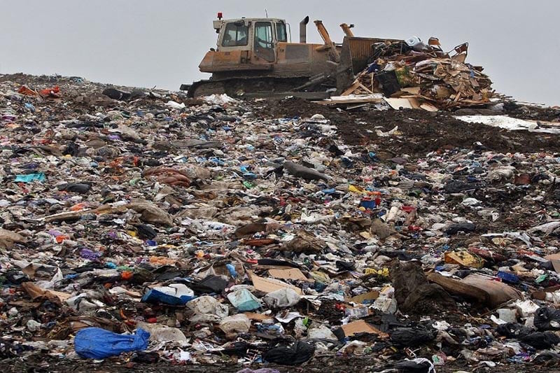 صورة المقالة