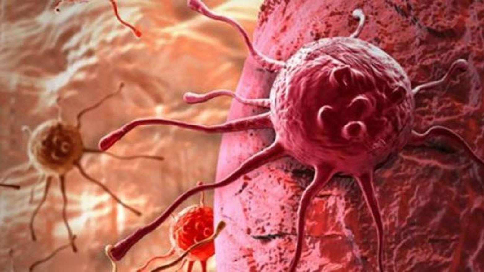 صورة المقالة