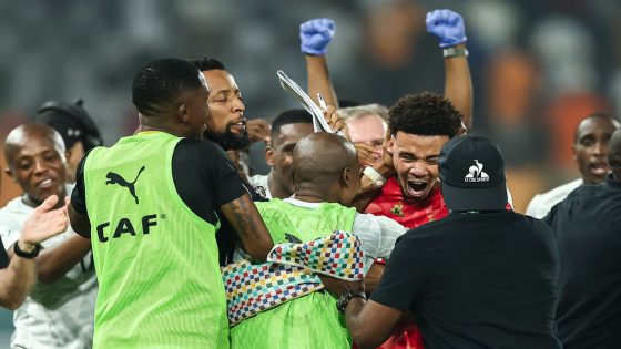 منتخب جنوب إفريقيا يكمل عقد المتأهلين ويرافق منتخب كوت ديفوار لنصف النهائي