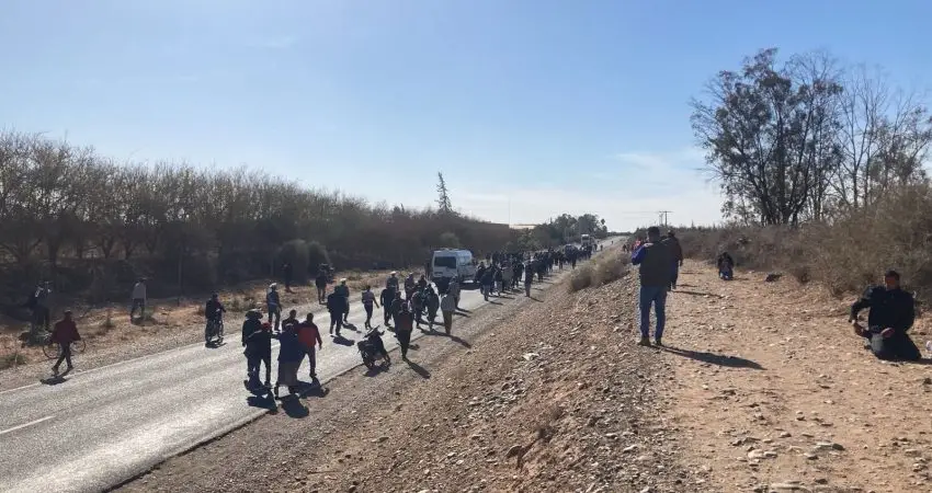 صورة المقالة