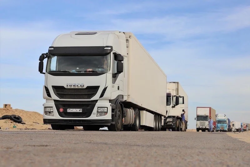 صورة المقالة