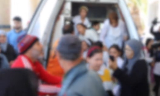 صورة المقالة