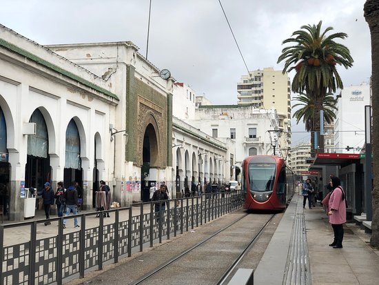 صورة المقالة