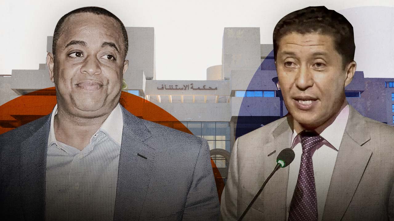 صورة المقالة