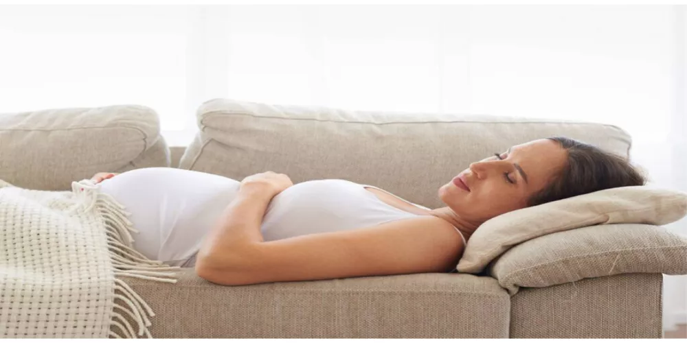 صورة المقالة