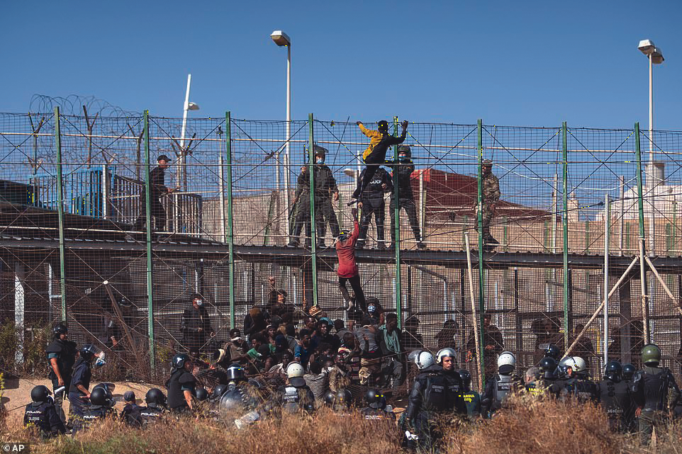 صورة المقالة