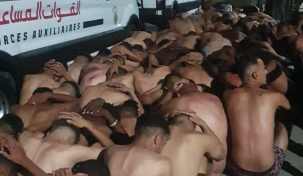 صورة المقالة