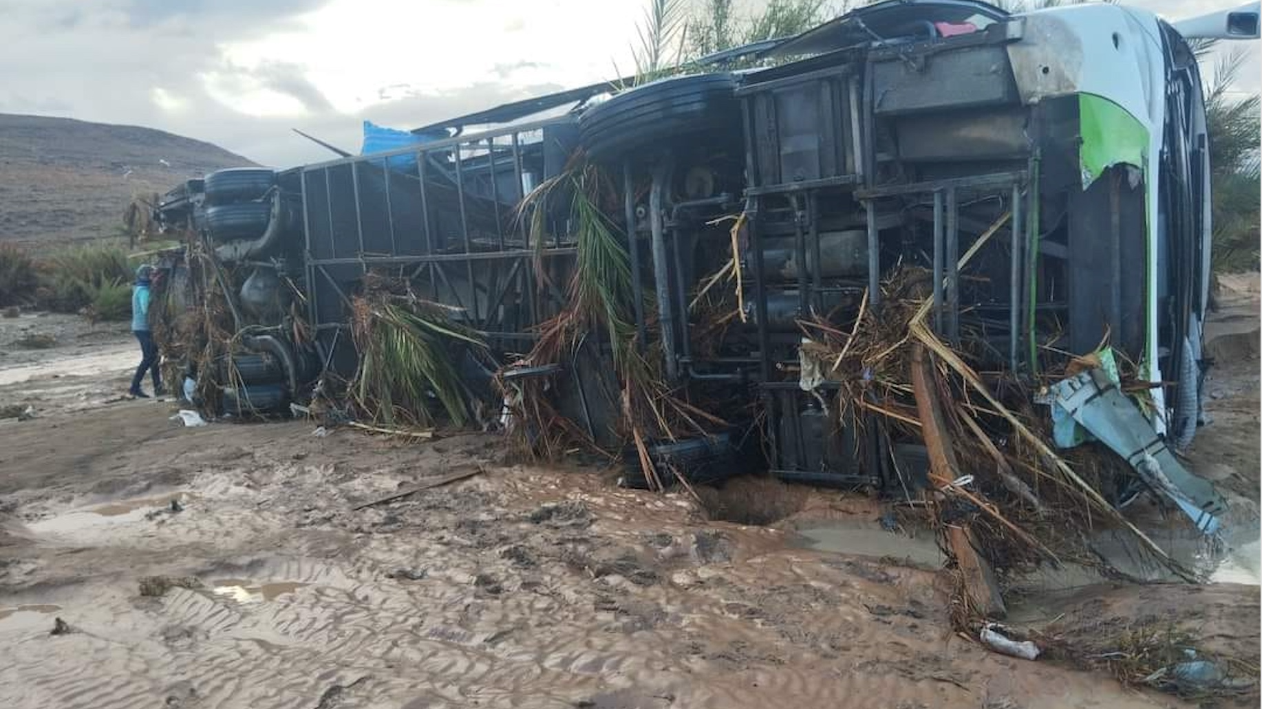 صورة المقالة