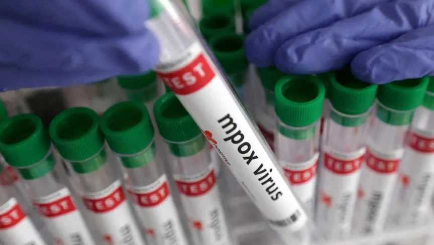 صورة المقالة