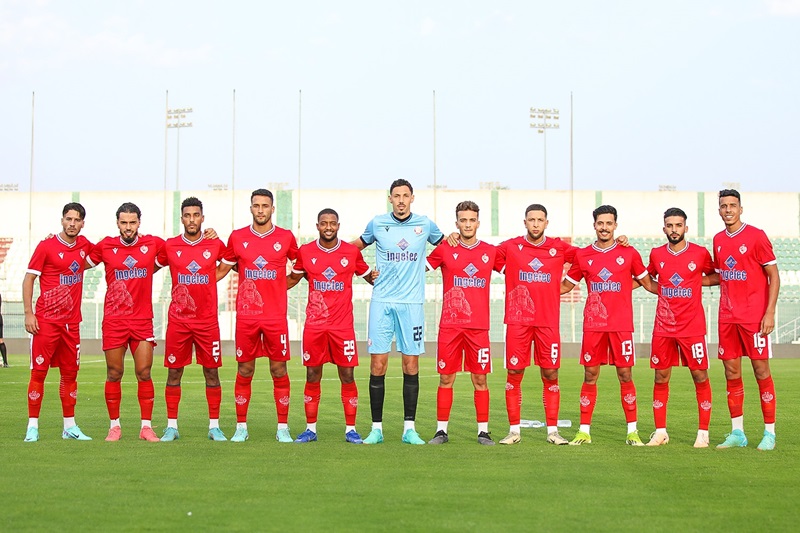 صورة المقالة