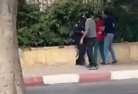 صورة المقالة