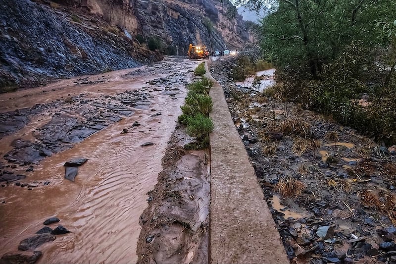 صورة المقالة