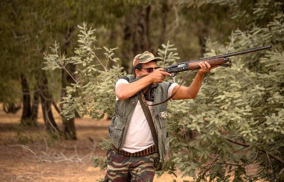 صورة المقالة