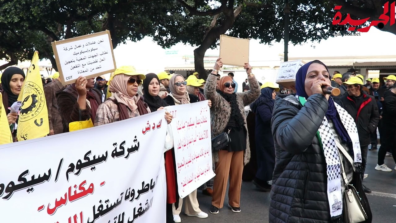 صورة المقالة