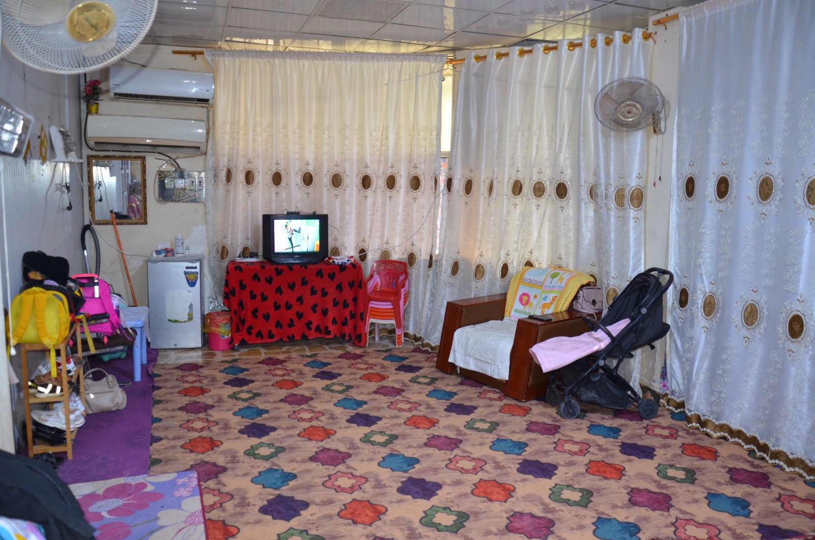 صورة المقالة