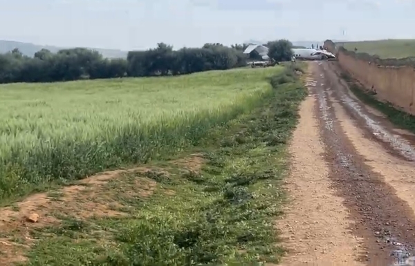 صورة المقالة