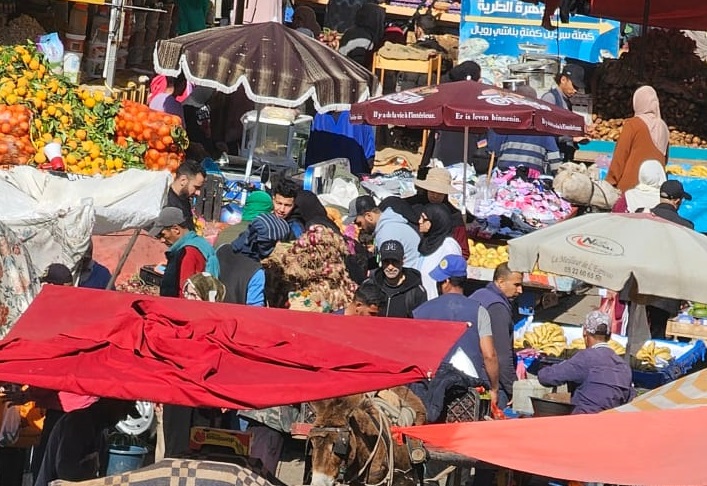 صورة المقالة