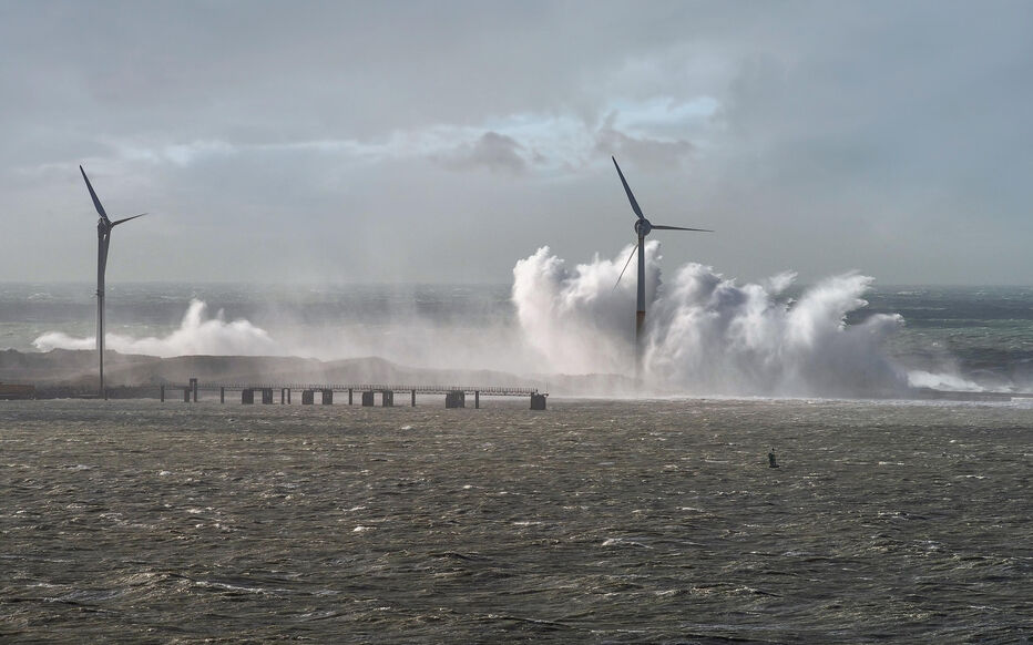 صورة المقالة