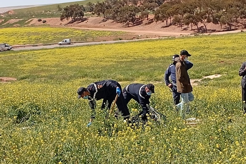 صورة المقالة
