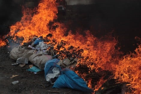 صورة المقالة