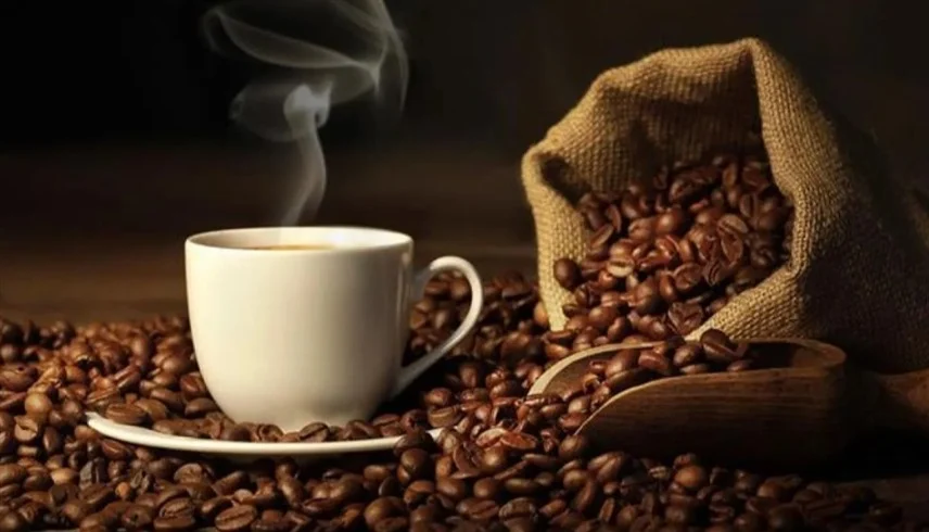 صورة المقالة