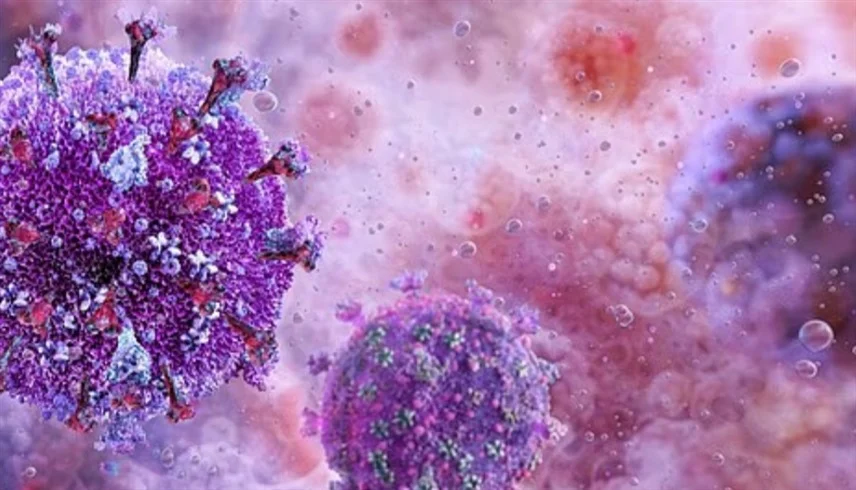 صورة المقالة