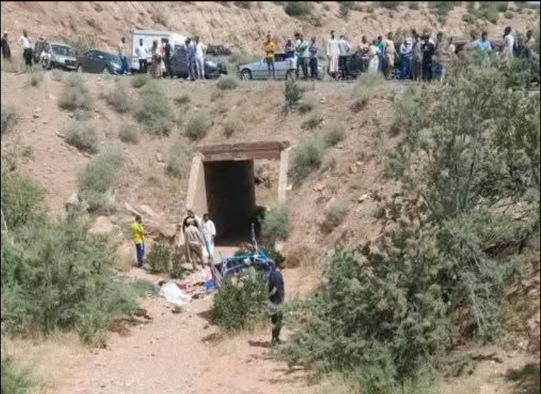 صورة المقالة