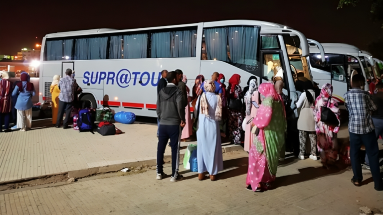 صورة المقالة