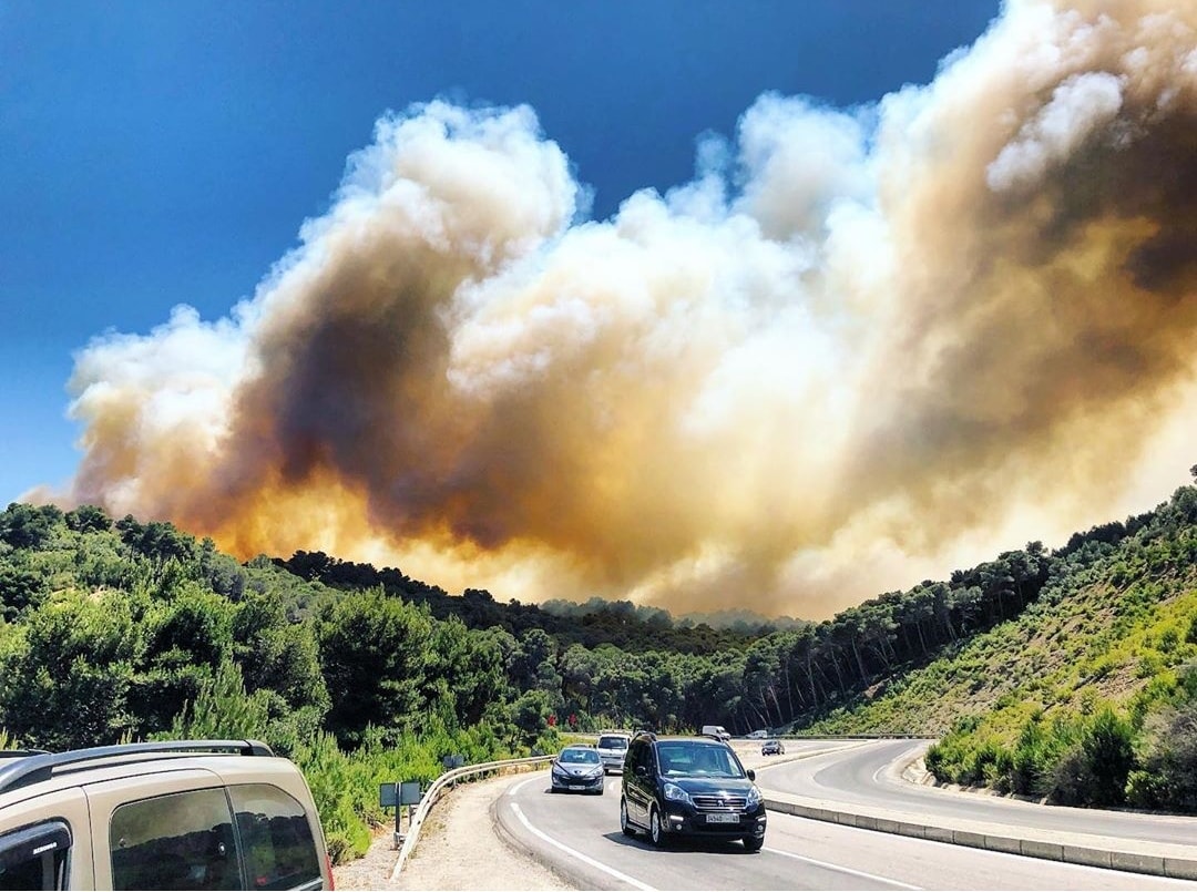 صورة المقالة