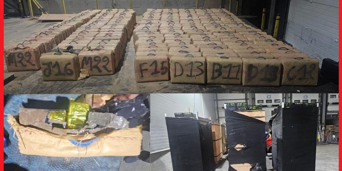 إحباط تهريب أطنان مخدرات بميناء طنجة المتوسط