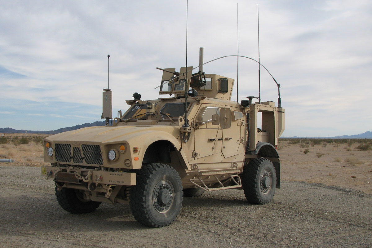 صورة المقالة