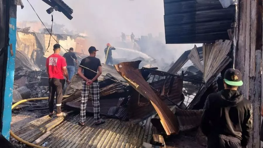 صورة المقالة