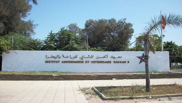 صورة المقالة