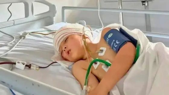 صورة المقالة