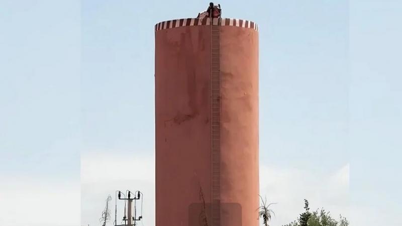 صورة المقالة