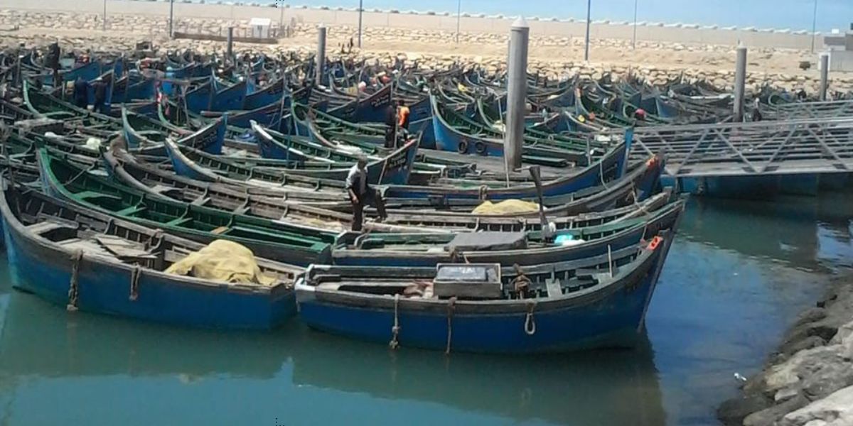 صورة المقالة